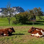 Vorderstiedler Apartmán Berchtesgaden